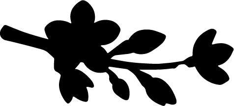 natura (8).png
